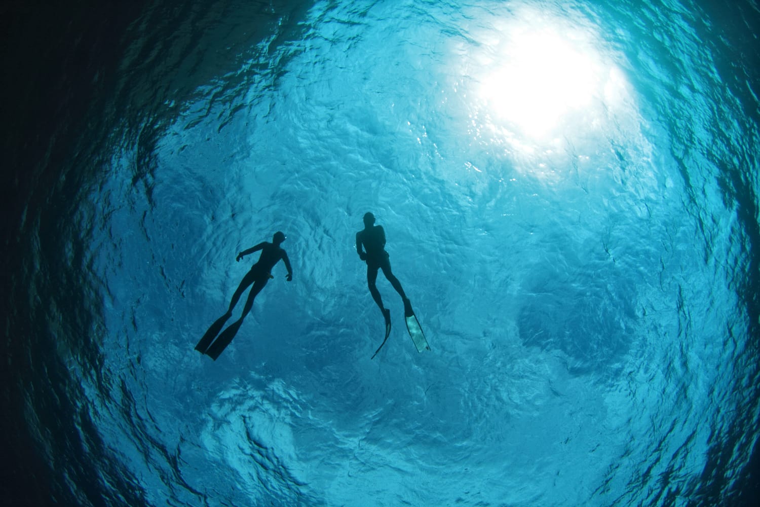 Freediving Courses